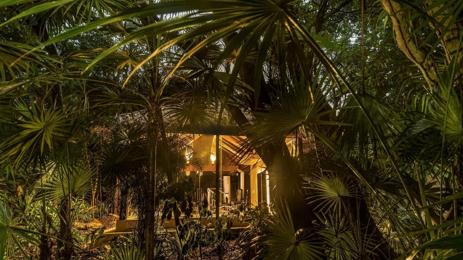 Viceroy Riviera Maya, A Luxury Villa Resort - Adults Only 멕시코