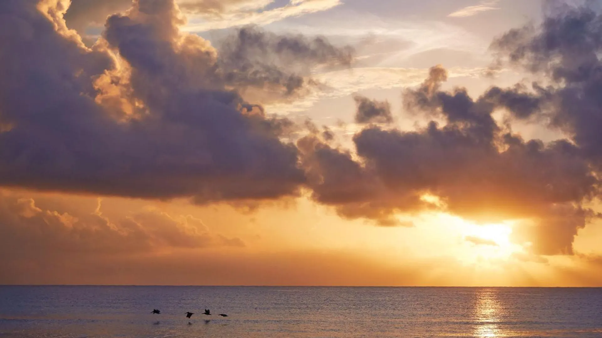 Viceroy Riviera Maya, A Luxury Villa Resort - Adults Only 5*,  멕시코