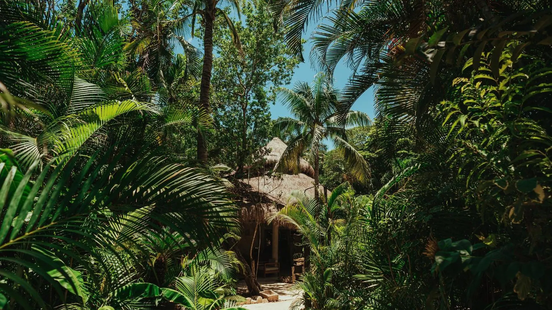 Viceroy Riviera Maya, A Luxury Villa Resort - Adults Only