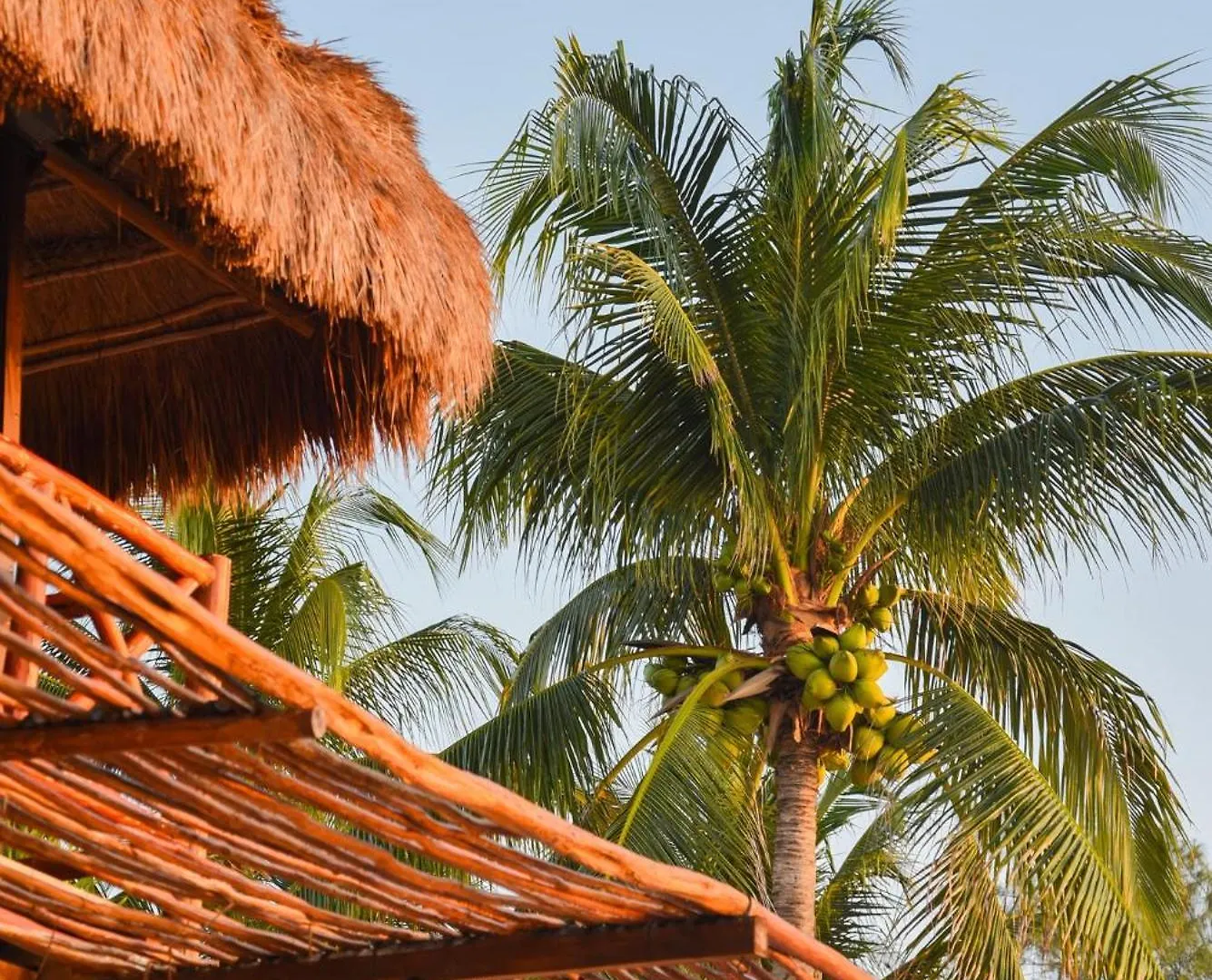 Viceroy Riviera Maya, A Luxury Villa Resort - Adults Only 5*,