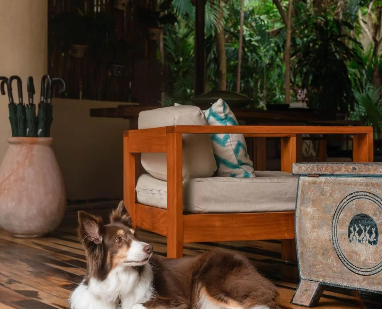 Viceroy Riviera Maya, A Luxury Villa Resort - Adults Only